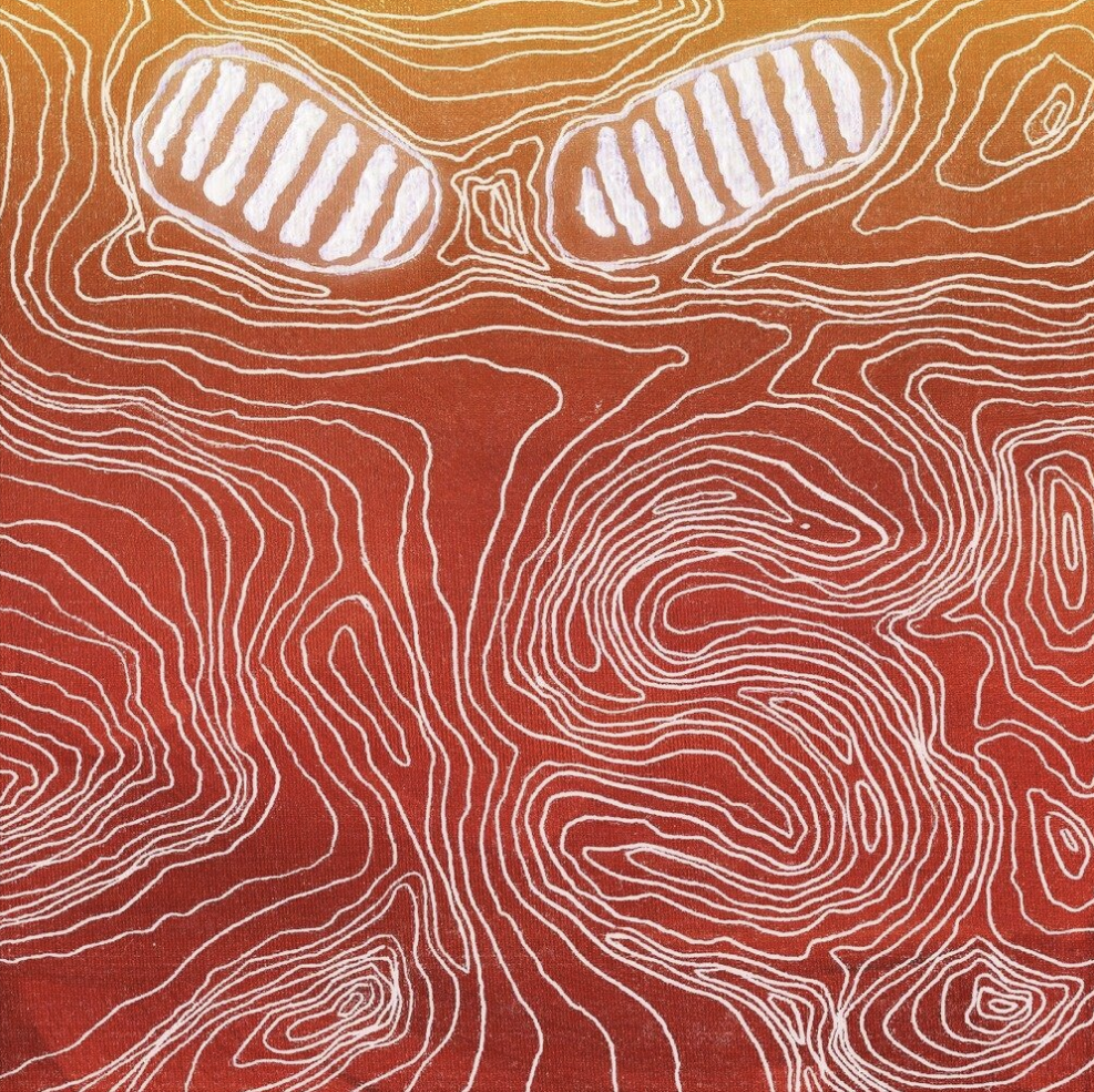 senseS (EP) <br>Tr.1,2 <br>MIX