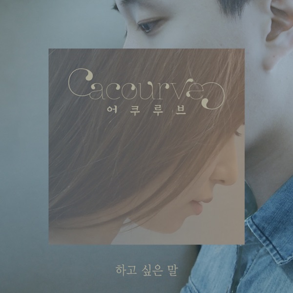 하고싶은말 <br>MIX