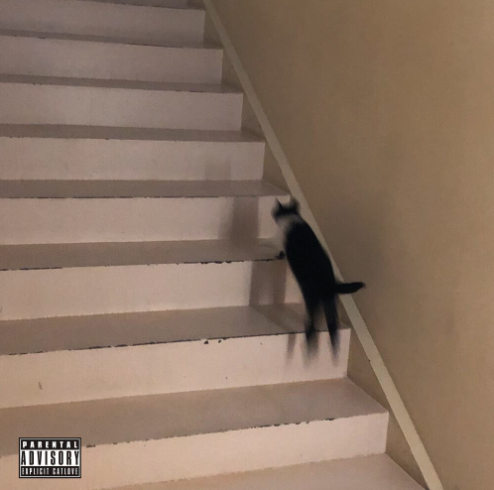 묘 (Cat) <br>MIX