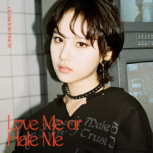 Love Me or <br>Hate Me <br>MIX