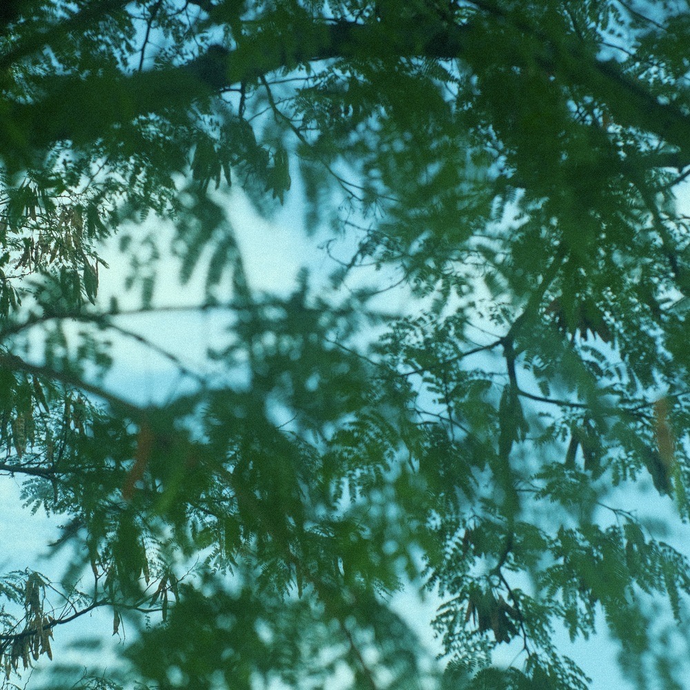 Summer <br>breeze <br>MIX