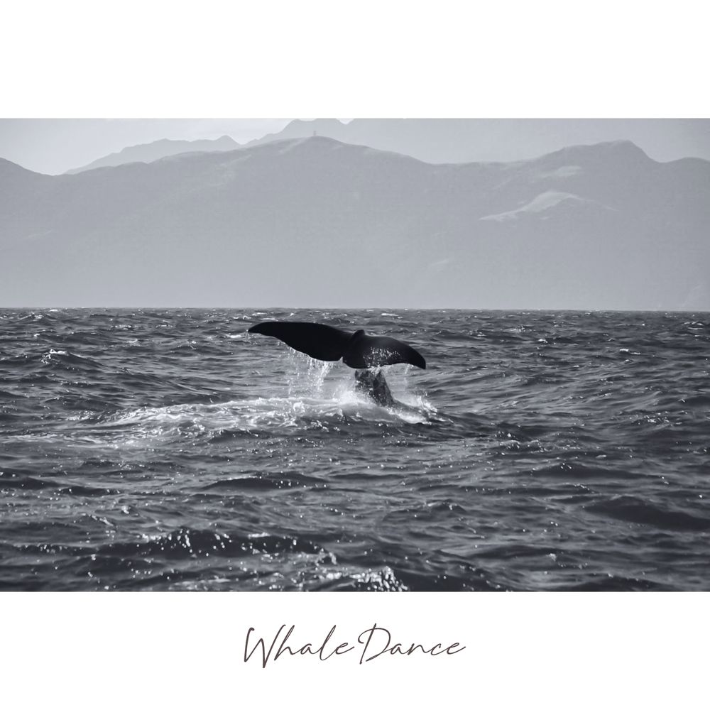 Whale Dance <br>MIX