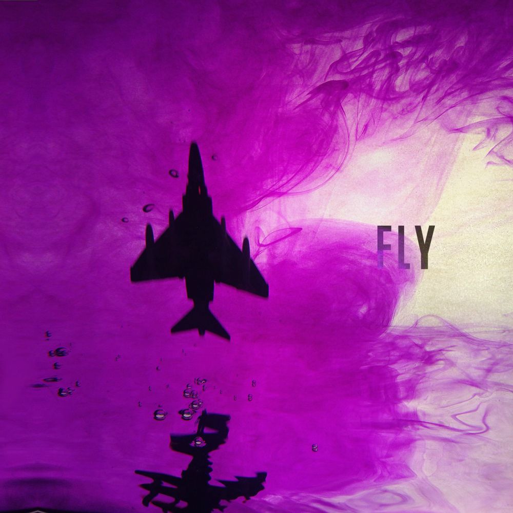 Fly<br>MIX